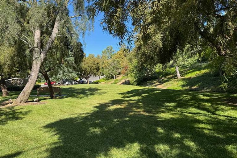 Lush Green Common Area in Stevenson Ranch
