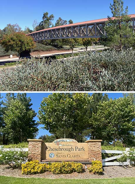 Bridge in Northpark and Chesebrough Park Sign