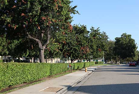 Common Area in Valencia Glen