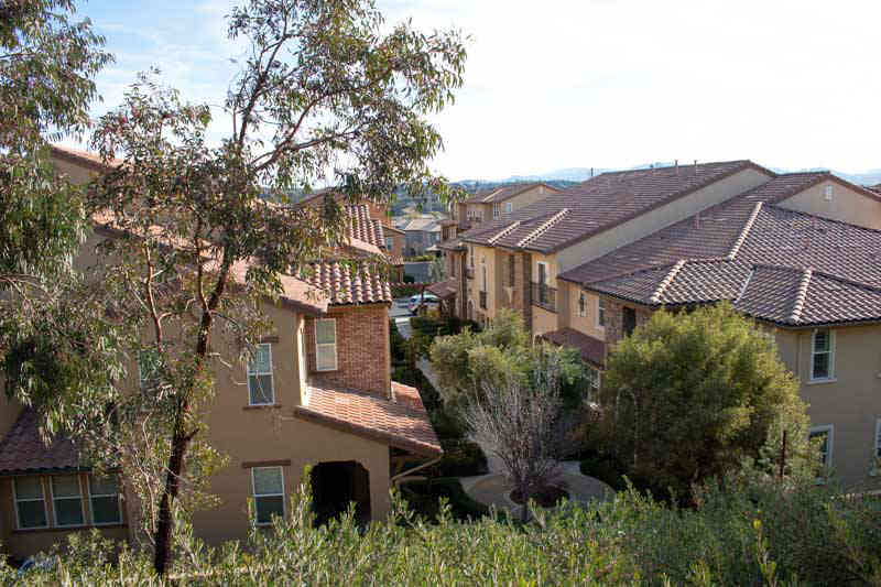 Houses Nestled in West Creek