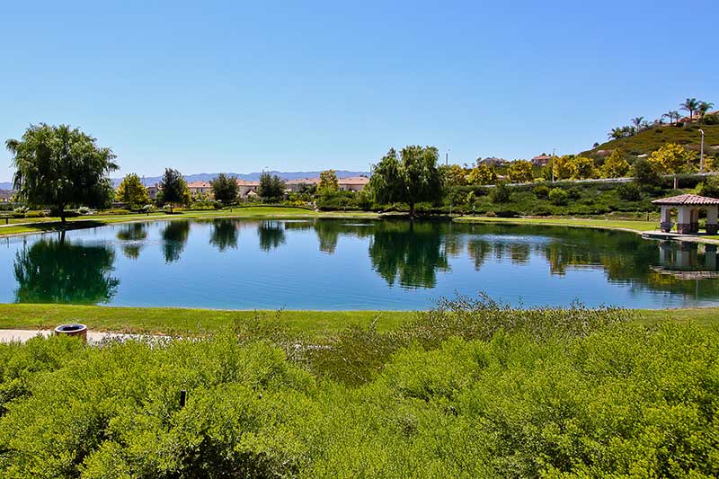 Lovely Lake in the Tesoro Del Valle Community