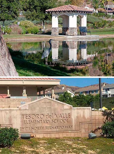 Tesoro Elementary School Sign and Ducks at Lake