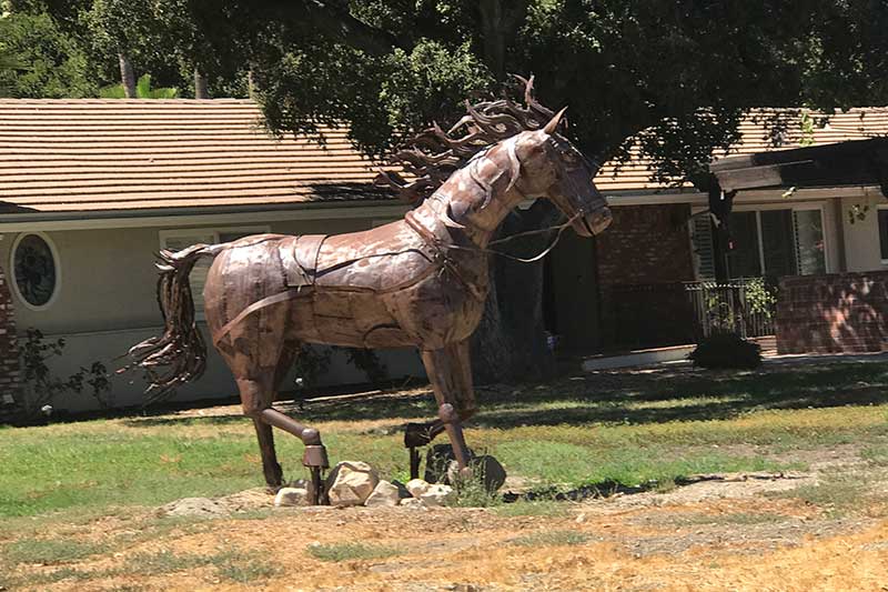 Horse in Front Yard of Ranch Home in Sand Canyon