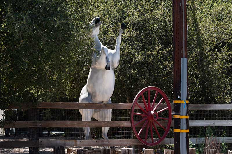 Sand Canyon Home With Horse Statue