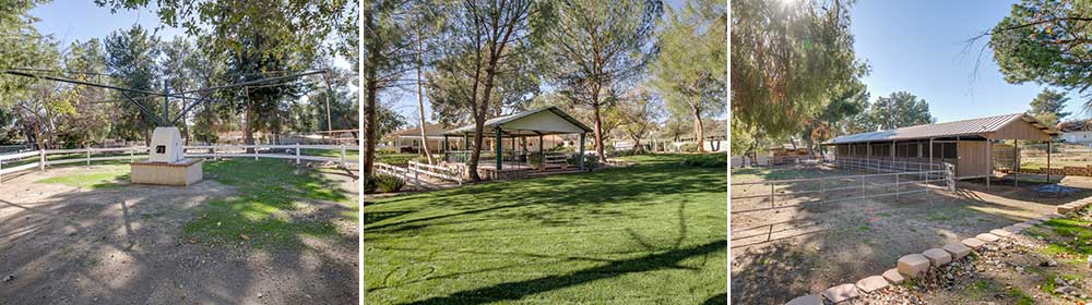 Barn Walker and Entertainment Area at 30114 Hawkset St