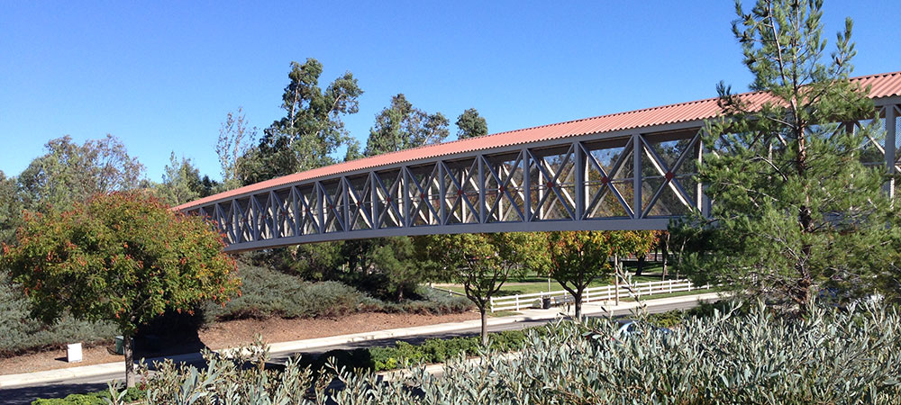 Pedestrian Bridge in Northpark Community