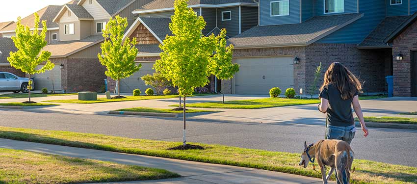 Typical Suburban Sidewalk