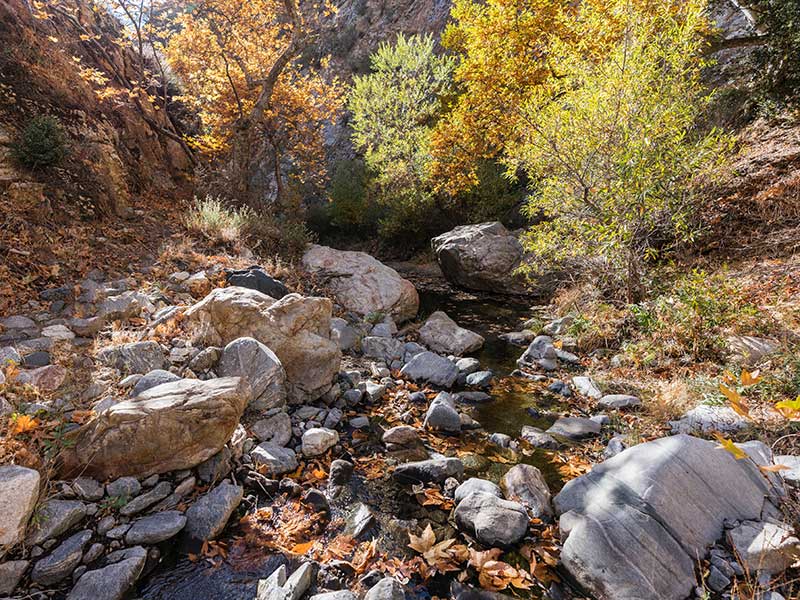 Fish Creek in Castaic CA