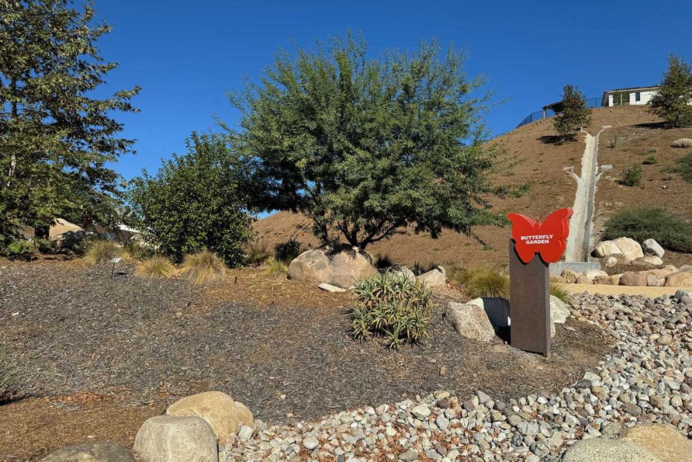 Butterfly Garden on Trail in Skyline Ranch