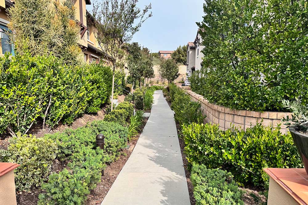 Common Area Trails Between Condos in West Creek
