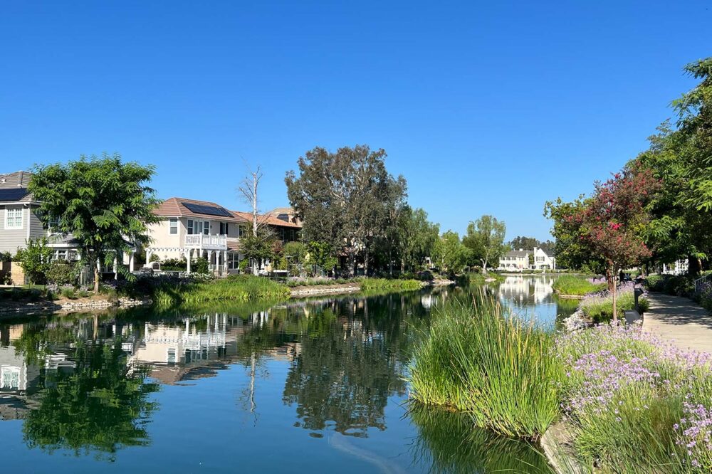 Homes on Lake in Valencia Bridgeport