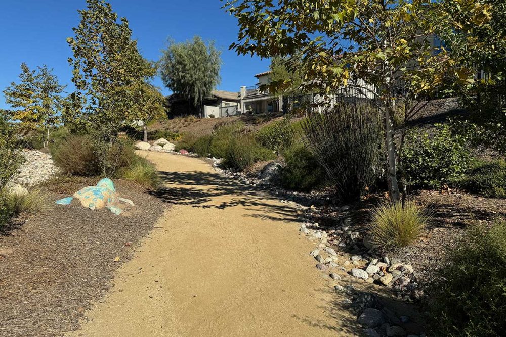 Scenic Trails in Skyline Ranch