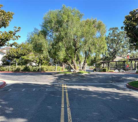 Street at Entrance to Montana Townhomes in Valencia