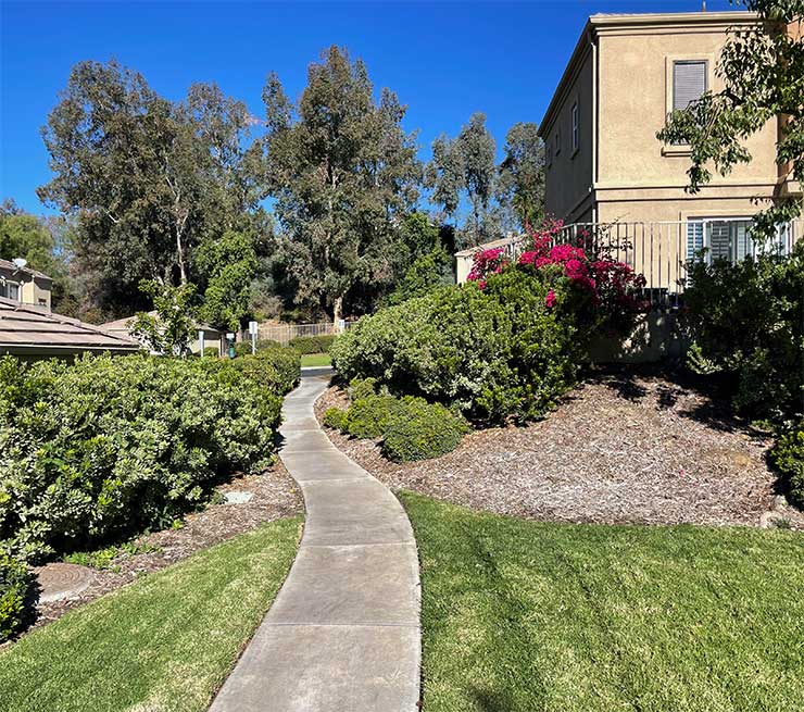 Rose Arbor Common Area Walkway