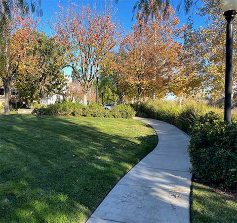 Walkway in Cabot Bay