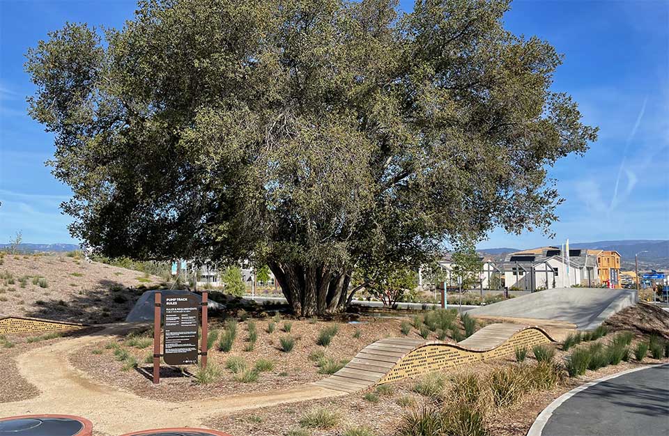 Pump Track Near Skylar