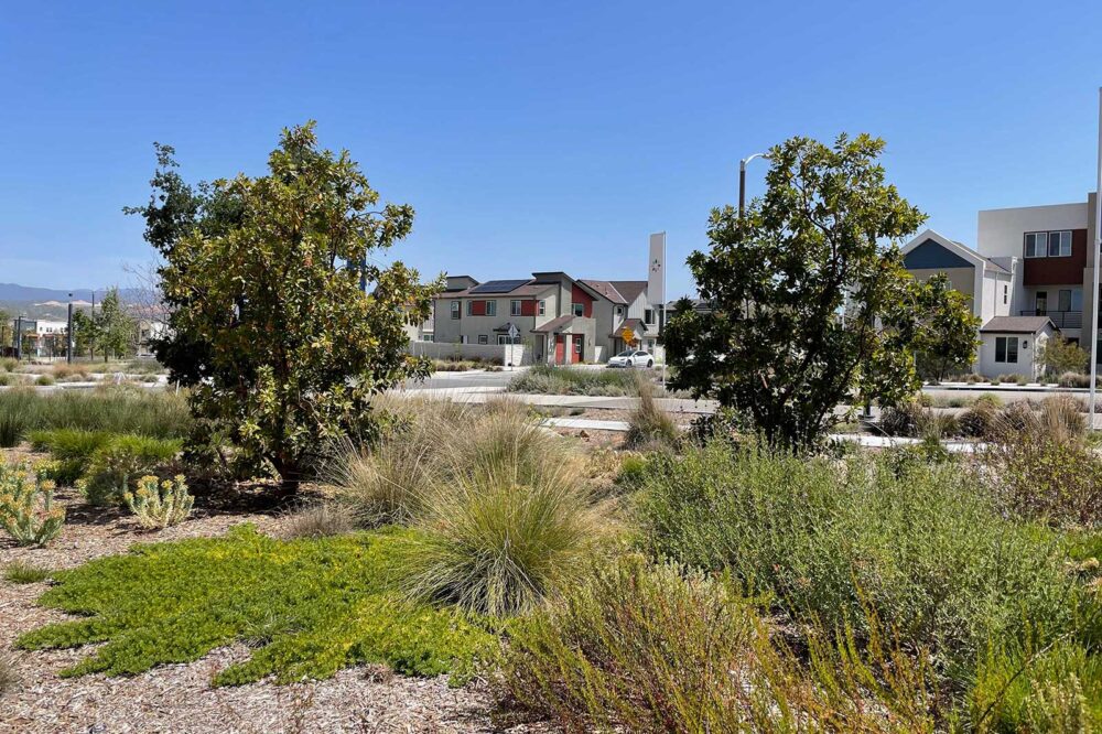 Redmond Common Area Landscaping