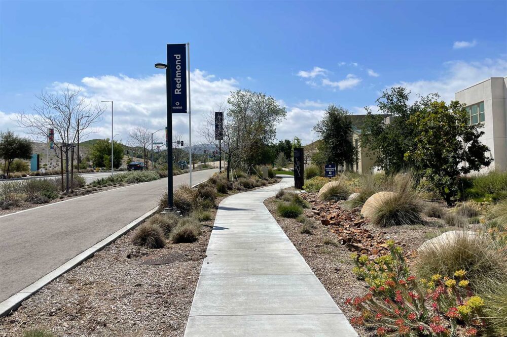Sidewalk in Redmond Neighborhood
