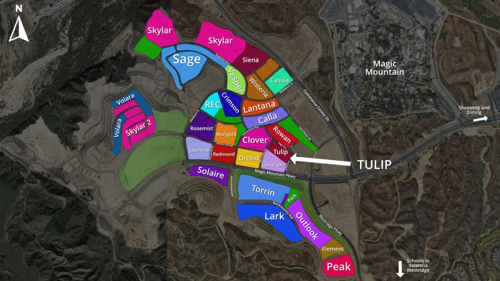 Tulip Subdivision on the Map