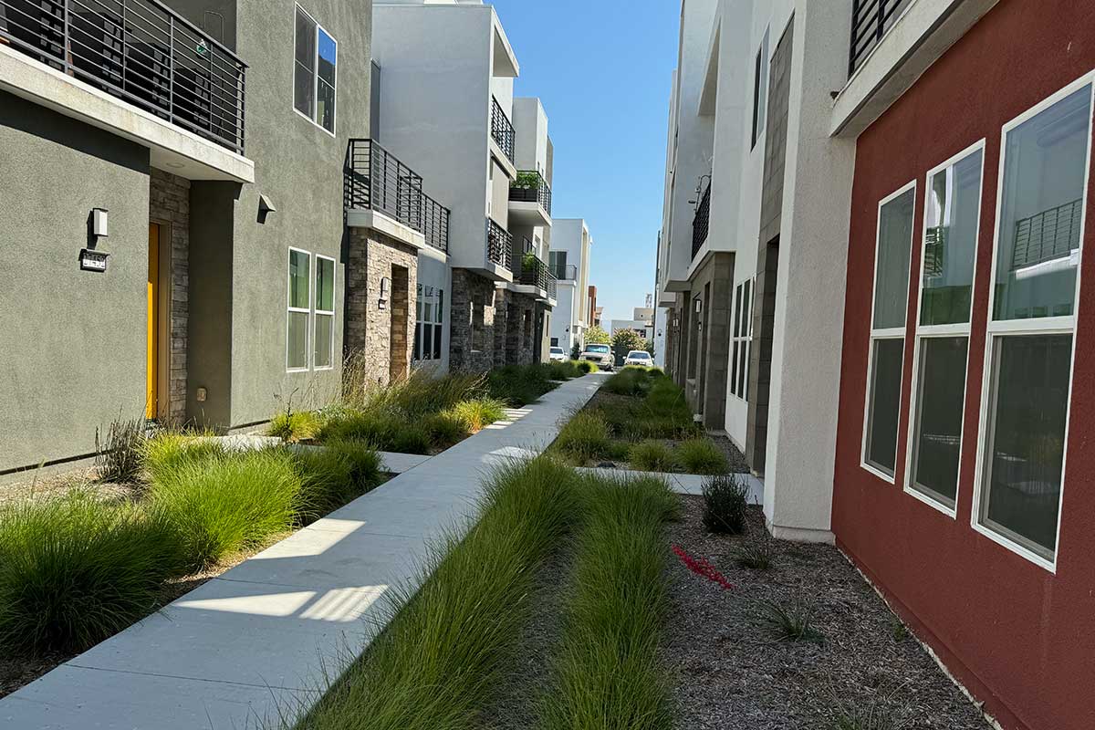 Walkway to Tulip Homes