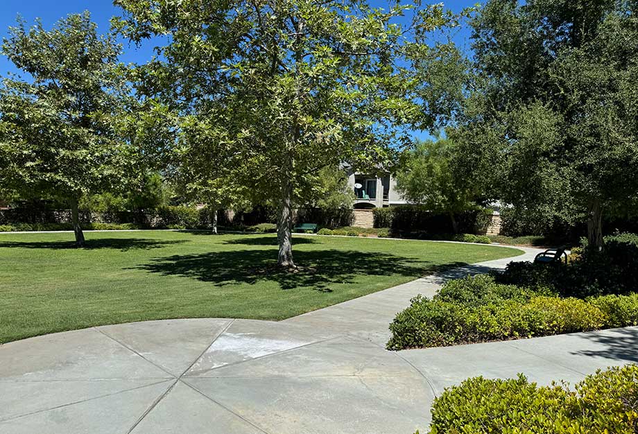 Small Neighborhood Park in Plum Canyon