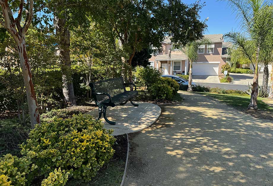 Park Bench in Mayfair Common Area