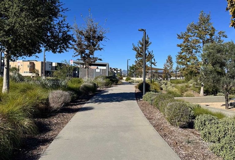 Trail Leading to Confluence Park