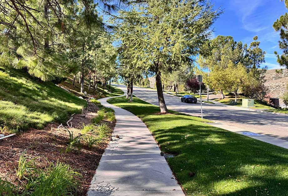 Tree Lined Winding Sidewalks in Sunset Heights