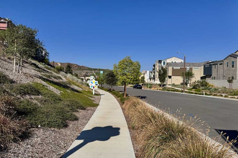 Sidewalk on Backcountry Avenue in Front of Torrin