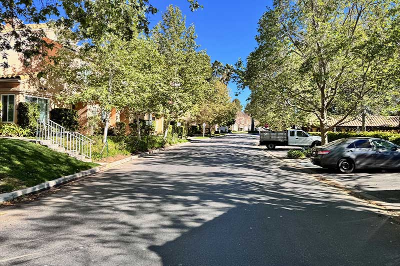 Tree Lined Street in the Diamond Head Neighborhood