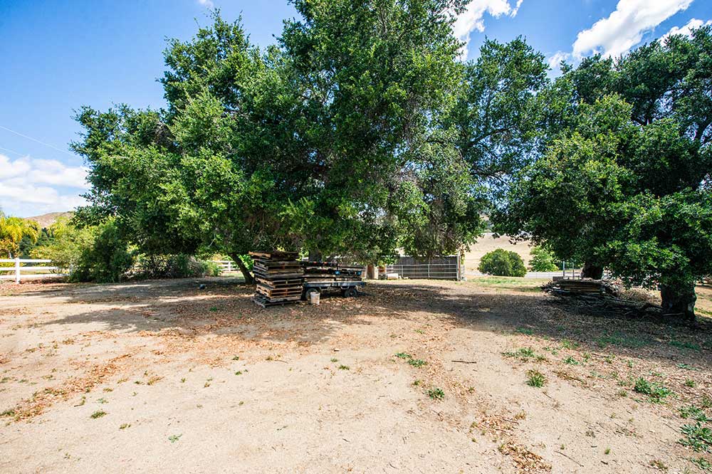 30602 Hasley Canyon Road Lower Property
