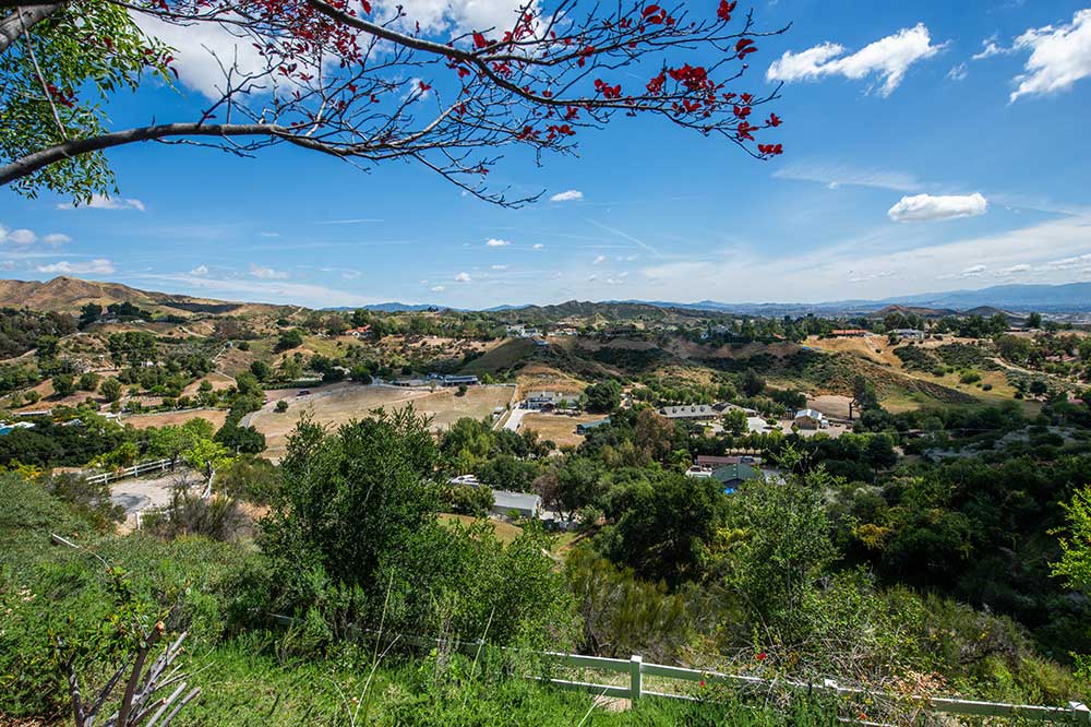 View from Patio at 30602 Hasley Canyon Rd